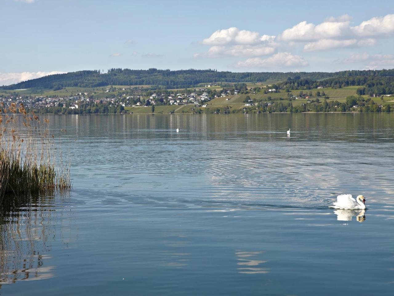 Hotel-Restaurant-Schifflaende Birrwil Exterior photo
